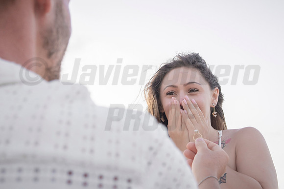 035-Nicholas proposal