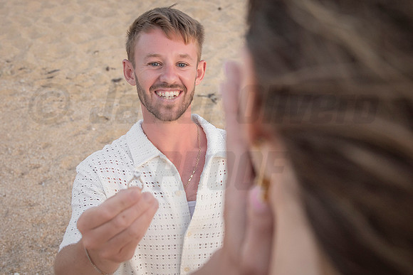 042-Nicholas proposal