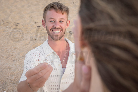043-Nicholas proposal