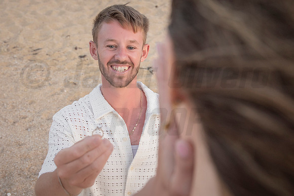 044-Nicholas proposal