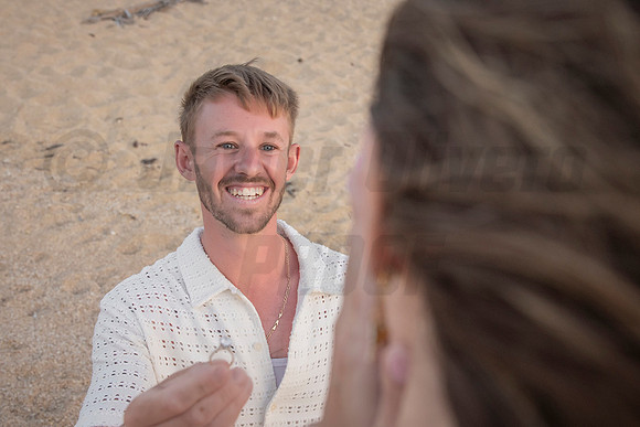 046-Nicholas proposal