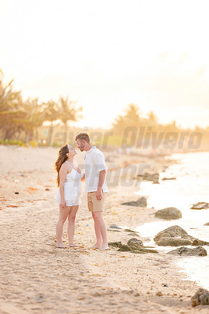 305-Nicholas proposal