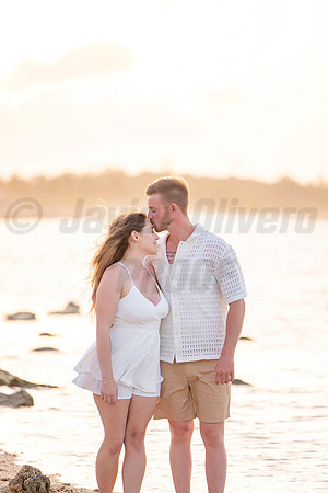 334-Nicholas proposal