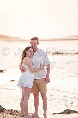 338-Nicholas proposal