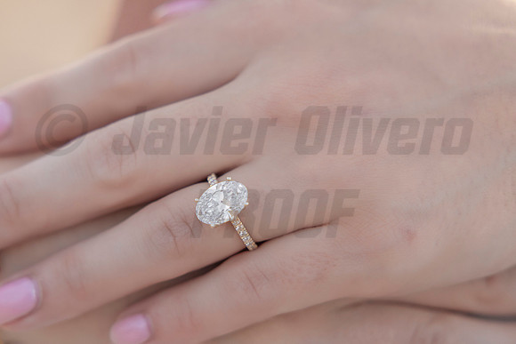 349-Nicholas proposal