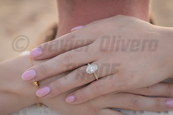 351-Nicholas proposal