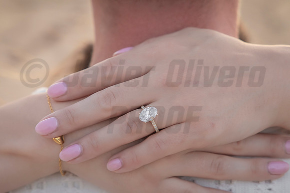 352-Nicholas proposal