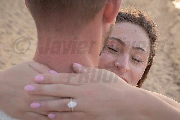 353-Nicholas proposal