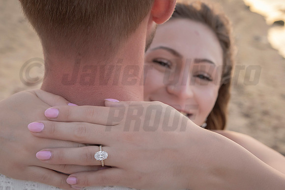 357-Nicholas proposal