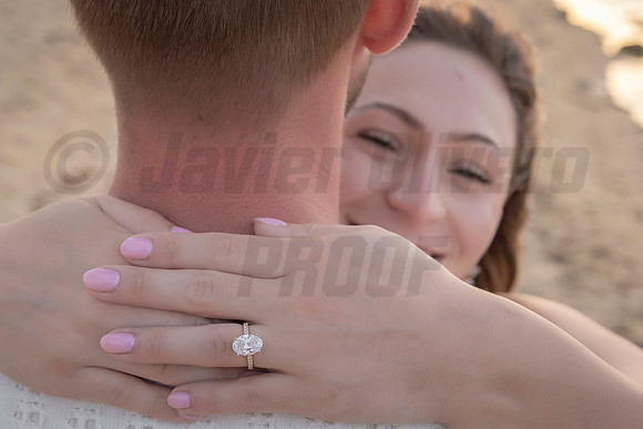 358-Nicholas proposal