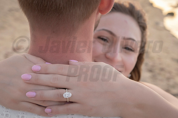 359-Nicholas proposal