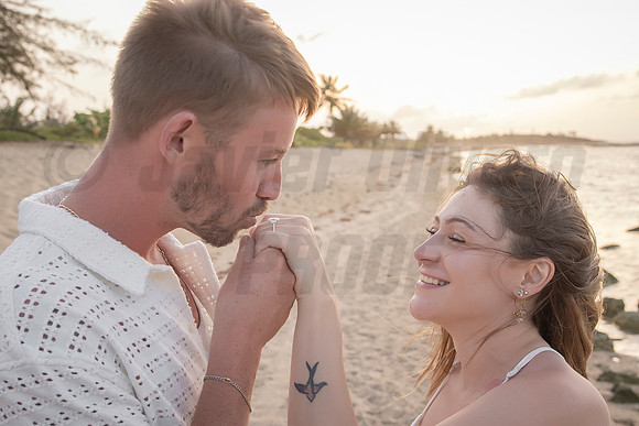 360-Nicholas proposal