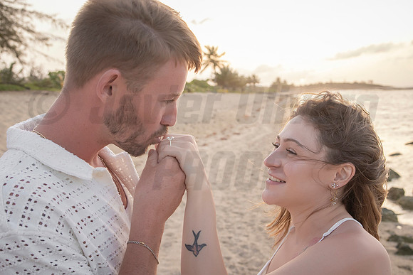 361-Nicholas proposal
