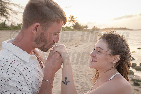362-Nicholas proposal