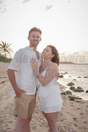 377-Nicholas proposal