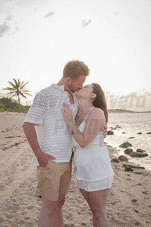 381-Nicholas proposal