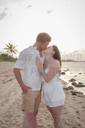 383-Nicholas proposal