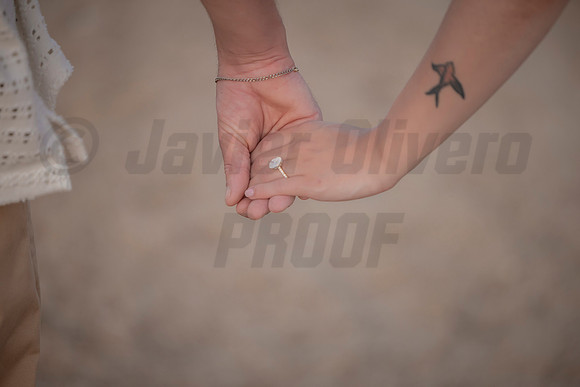 384-Nicholas proposal