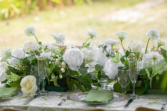 143-Vieques Weddings and Events