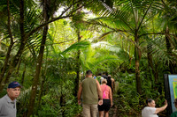 002-Day 2 - Mount Britton + Junglequi-