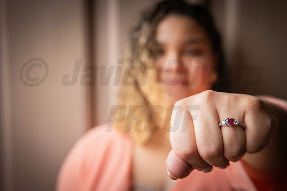 249-Daniel Proposal