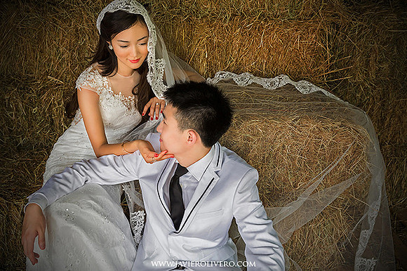 Palomino Island weddings