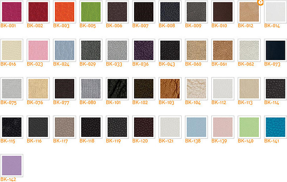 leather colors2