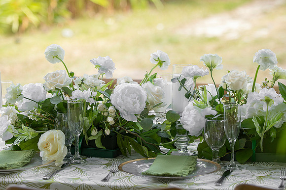 142-Vieques Weddings and Events