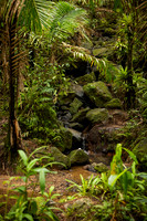 008-Day 2 - Mount Britton + Junglequi-