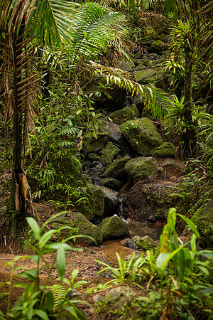 008-Day 2 - Mount Britton + Junglequi-