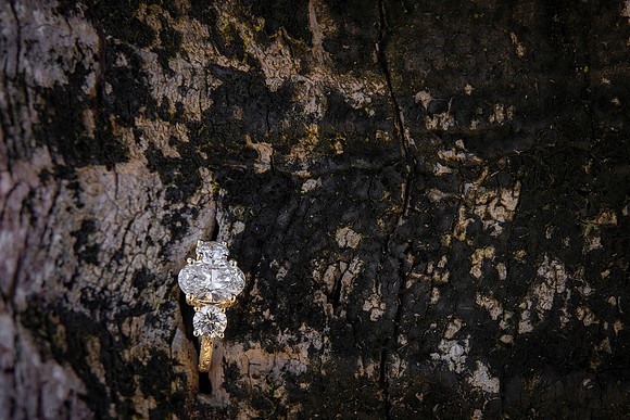 345-Paulina & Brian Proposal