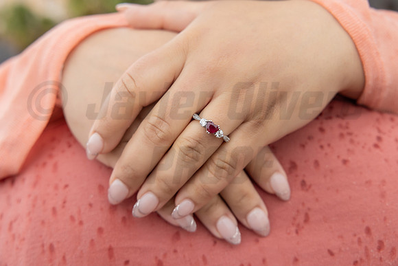 309-Daniel Proposal