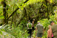 006-Day 2 - Mount Britton + Junglequi-