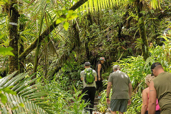 006-Day 2 - Mount Britton + Junglequi-