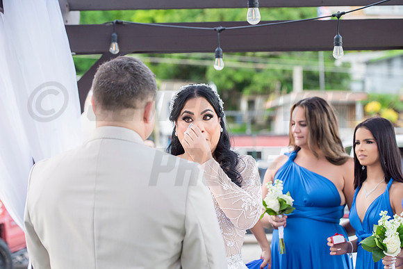 358-Erica Luis Wedding