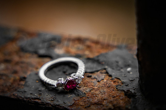 314-Daniel Proposal