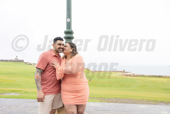 306-Daniel Proposal