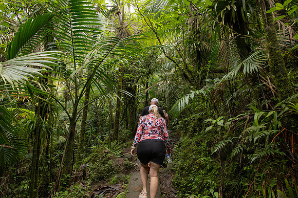 009-Day 2 - Mount Britton + Junglequi-