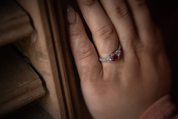 228-Daniel Proposal