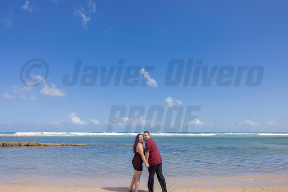 332-Paulina & Brian Proposal