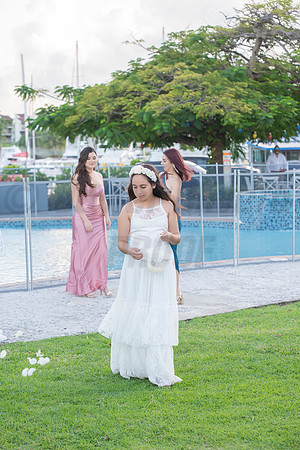 332-Erica Luis Wedding