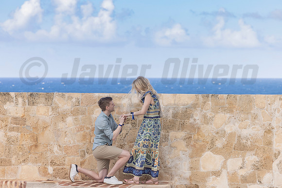020-Bradley Proposal