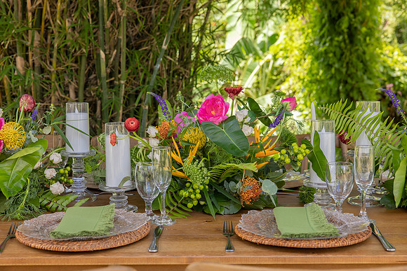 111-Vieques Weddings and Events