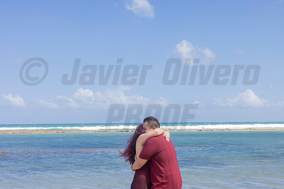 334-Paulina & Brian Proposal