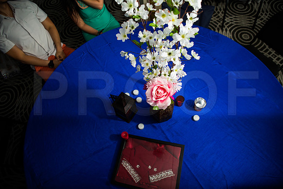 Tincy Henna-110