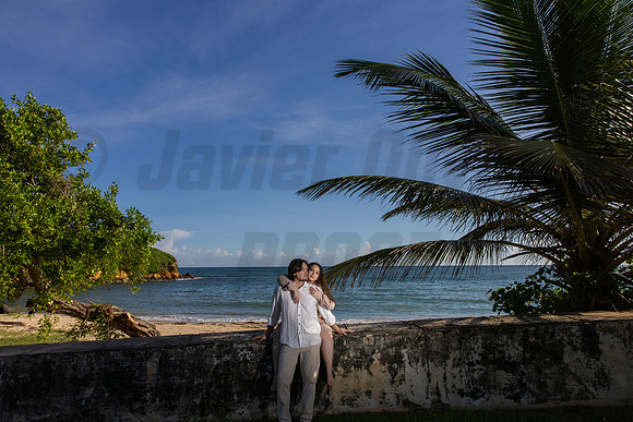 090-Paula-Proposal