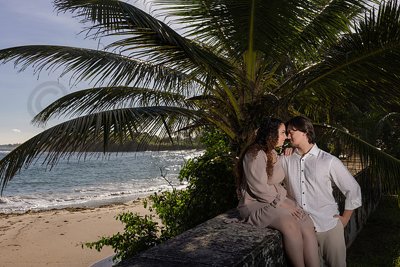 097-Paula-Proposal