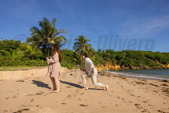 158-Paula-Proposal