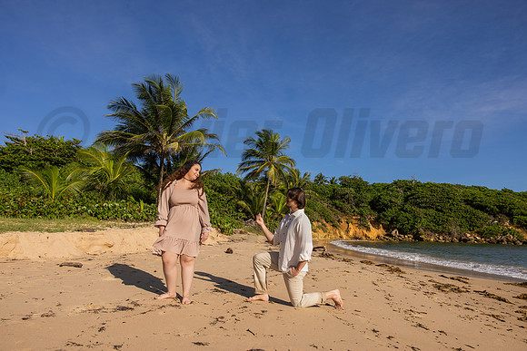 162-Paula-Proposal
