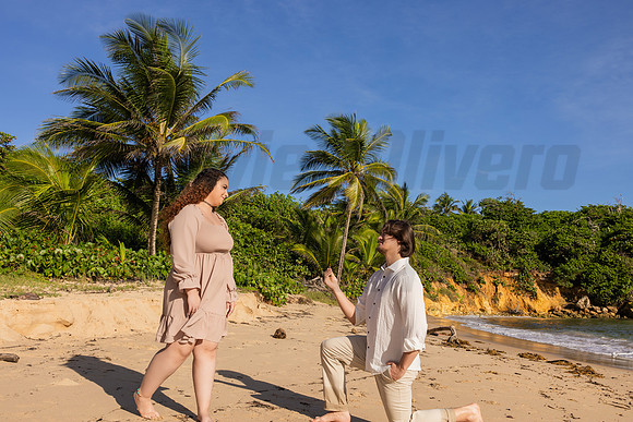 163-Paula-Proposal
